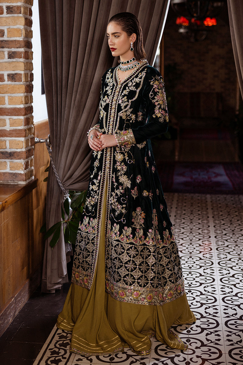 Mushq | Deja Vu Velvet | Nostalgic Shadows - Pakistani Designer Dress - by Mushq | Type: Ladies Clothes - 100% Original at Saira Sultan