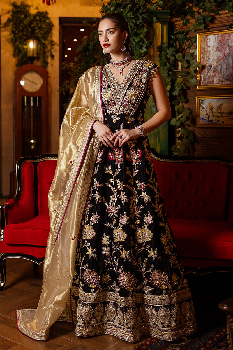 Mushq | Deja Vu Velvet | Whispers of Yesterday - Pakistani Designer Dress - by Mushq | Type: Ladies Clothes - 100% Original at Saira Sultan