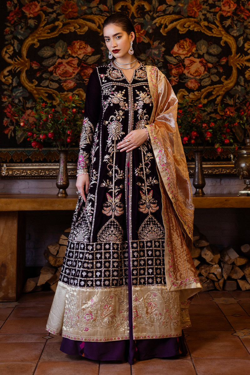 Mushq | Deja Vu Velvet | Chasing Reflections - Pakistani Designer Dress - by Mushq | Type: Ladies Clothes - 100% Original at Saira Sultan