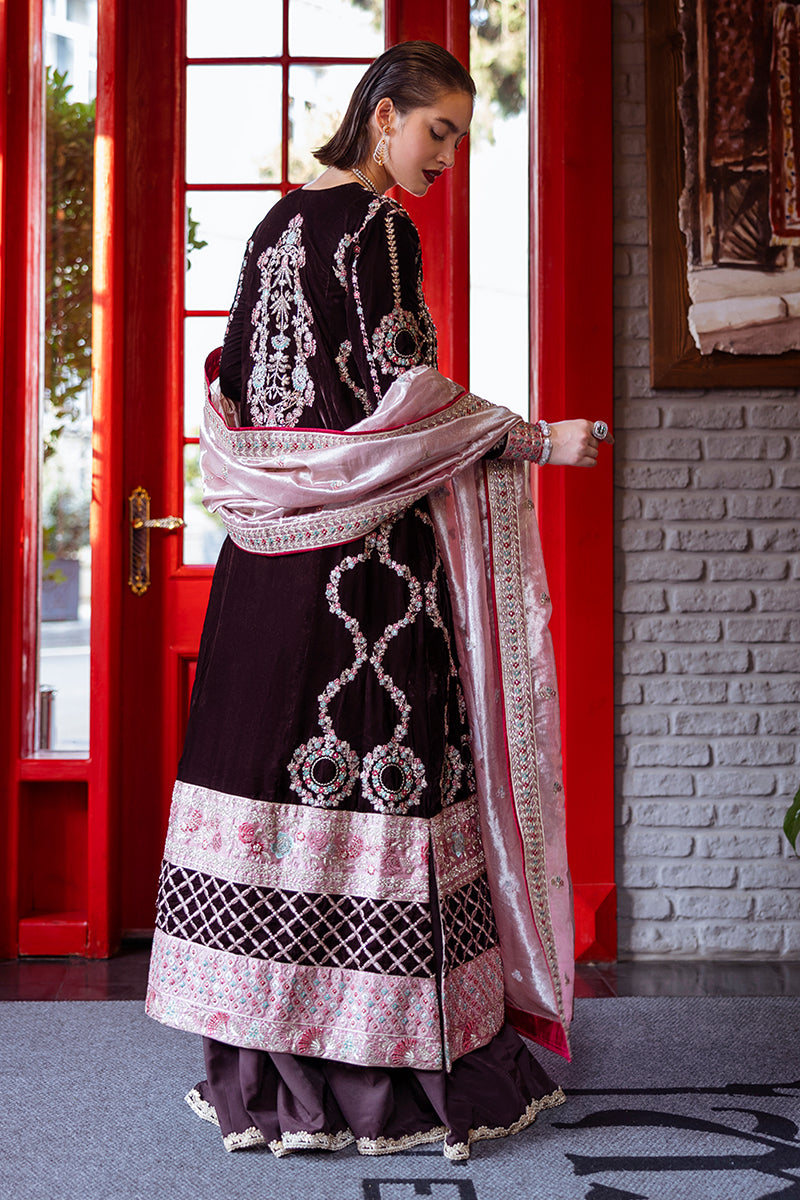Mushq | Deja Vu Velvet | Echoing Dreams - Pakistani Designer Dress - by Mushq | Type: Ladies Clothes - 100% Original at Saira Sultan