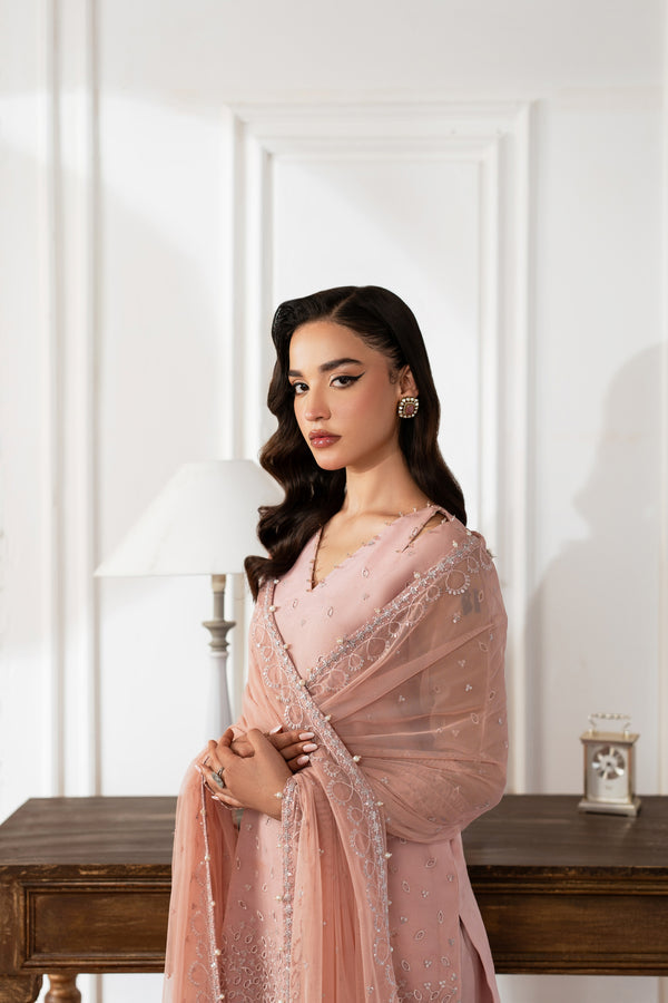 Azzal | Mishri Formals | Parisa M Pastel Pink Organza