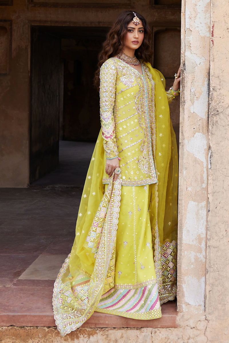 Qalamkar | Shadmani Luxury Formals | Dania SH-05 XS Maize Yellow Cotton Net