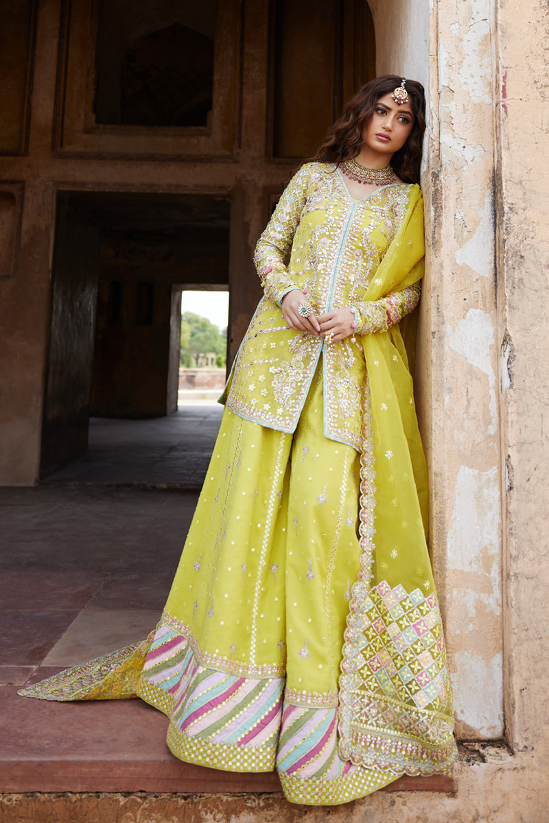 Qalamkar | Shadmani Luxury Formals | Dania SH-05 L Maize Yellow Cotton Net