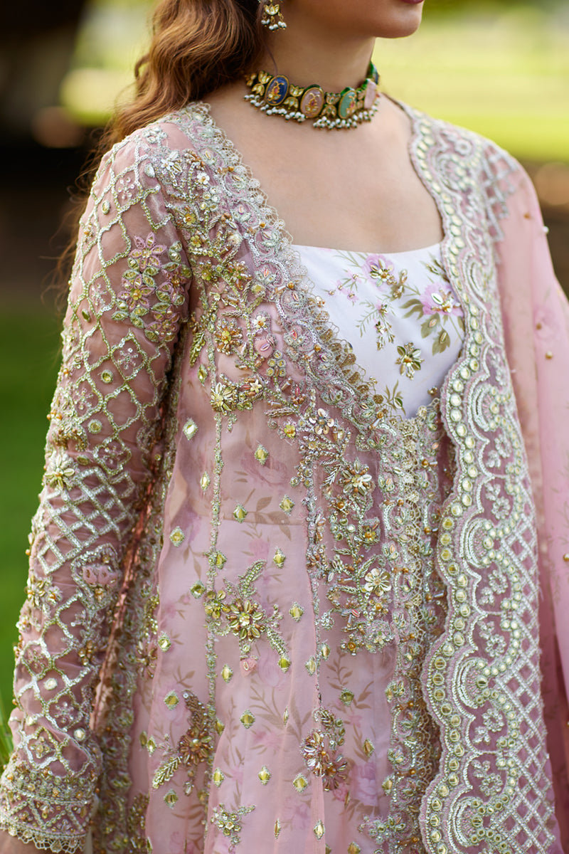 Qalamkar | Shadmani Luxury Formals | Saira SH-08 XS Organza Pale Pink