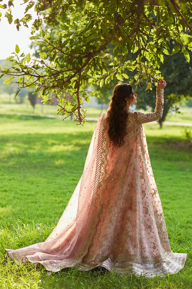 Qalamkar | Shadmani Luxury Formals | Saira SH-08 M Organza Pale Pink