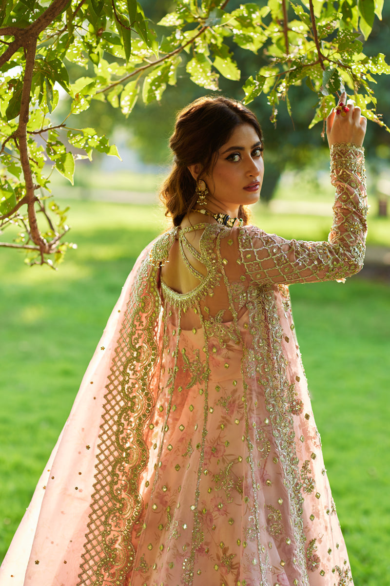 Qalamkar | Shadmani Luxury Formals | Saira SH-08 XL Organza Pale Pink