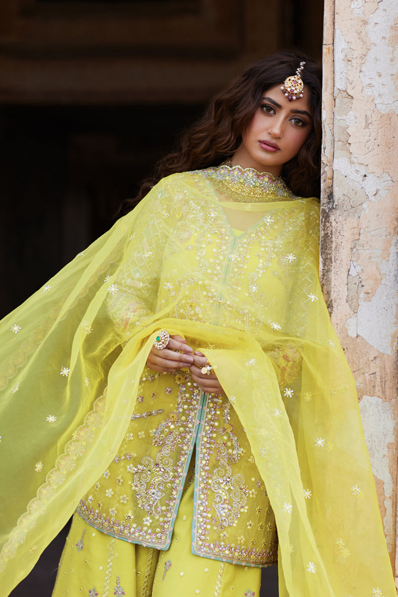 Qalamkar | Shadmani Luxury Formals | Dania SH-05 M Maize Yellow Cotton Net