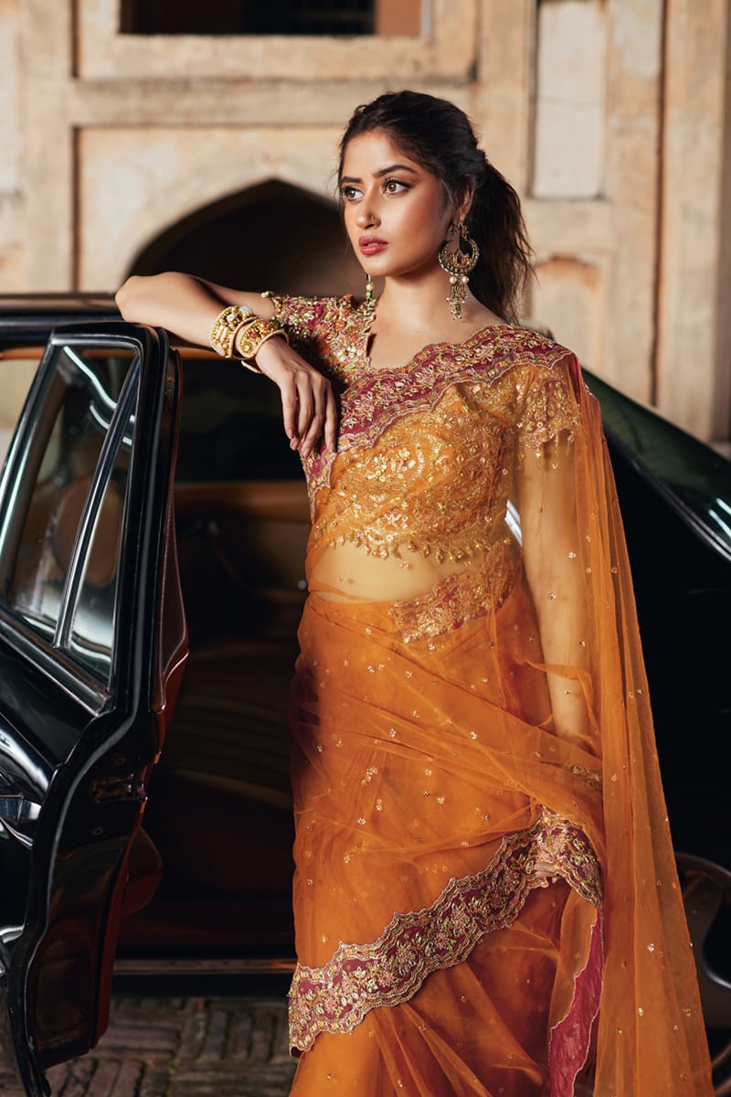 Qalamkar | Shadmani Luxury Formals | Raniya SH-02 M Orange Khaadi Net Canvas