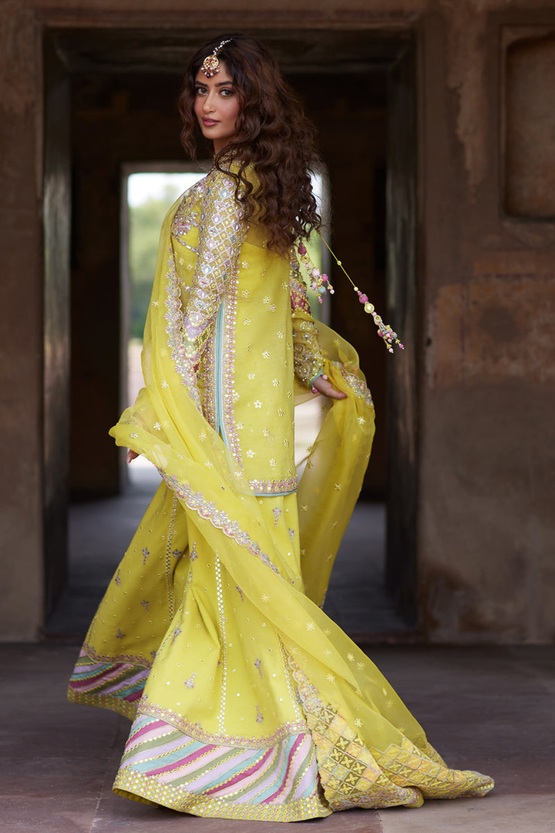 Qalamkar | Shadmani Luxury Formals | Dania SH-05 XS Maize Yellow Cotton Net