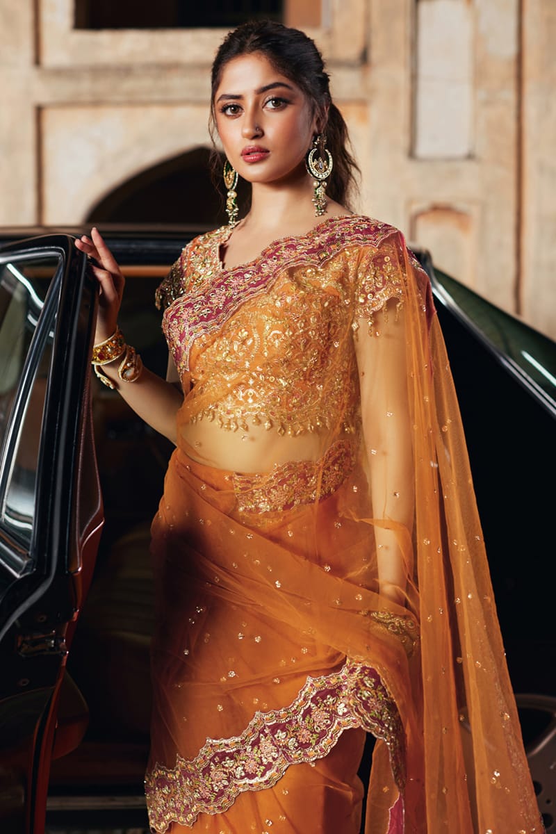 Qalamkar | Shadmani Luxury Formals | Raniya SH-02 L Orange Khaadi Net Canvas