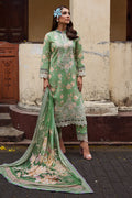 Gulaal | Saffira Lawn 25 | Nora XL Greenish Brown Lawn
