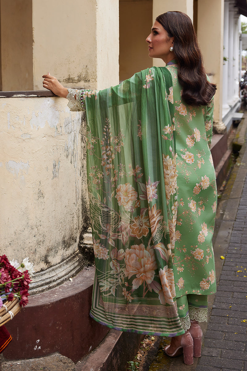 Gulaal | Saffira Lawn 25 | Nora XS Greenish Brown Lawn