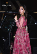 Asim Jofa | Festive Collection 25 | AJFF-03 M Candy Pink Net