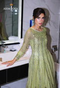 Asim Jofa | Festive Collection 25 | AJFF-04 L Mint Green Net