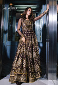 Asim Jofa | Festive Collection 25 | AJFF-07 XS Chocolate Brown Net