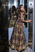 Asim Jofa | Festive Collection 25 | AJFF-07 L Chocolate Brown Net