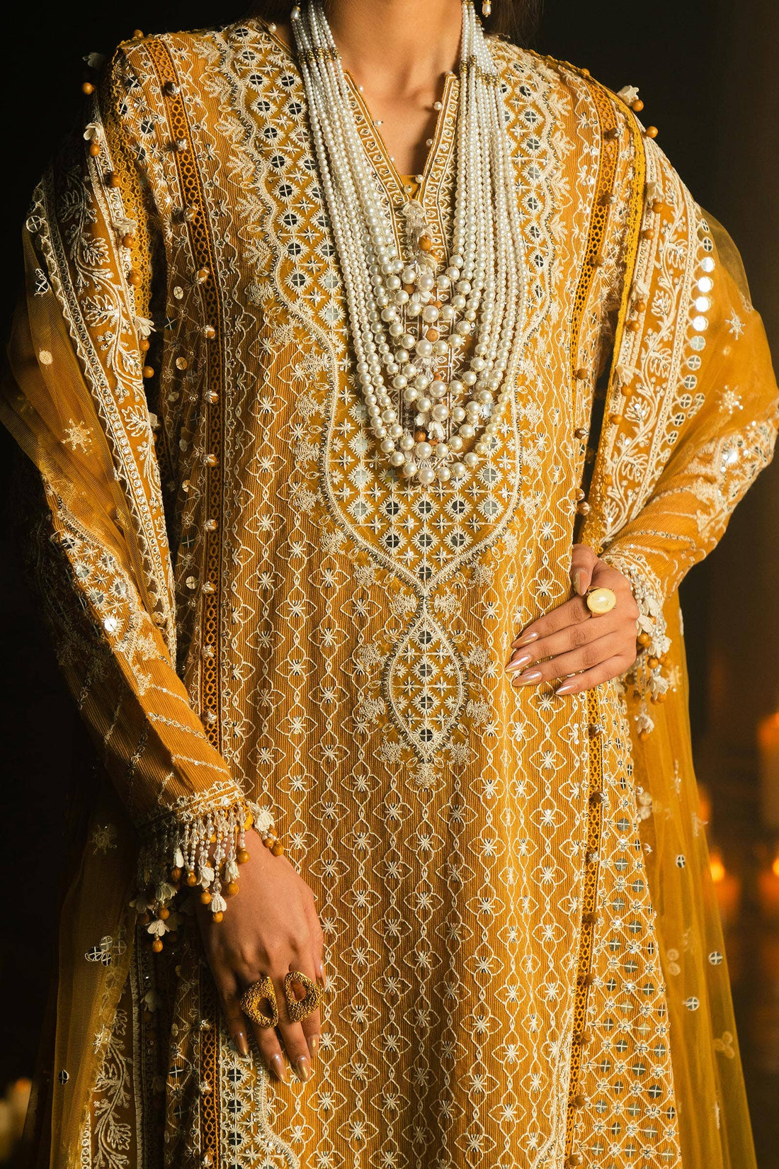 Sana Safinaz | Luxury Collection 24 | L241-002B-3CT - Pakistani Designer Dress - by Sana Safinaz | Type: Luxury - 100% Original at Saira Sultan