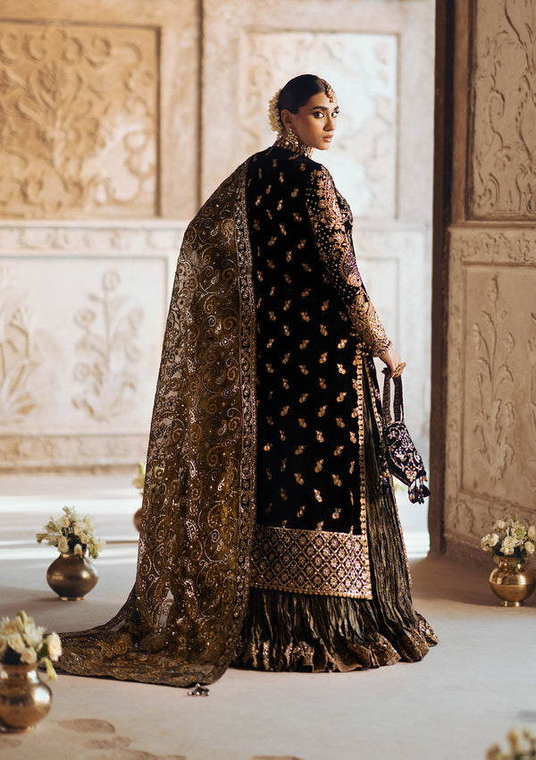 Aik Atelier | Dastoor Velvet 24 | DASTOOR - LOOK 08 XS Black Velvet