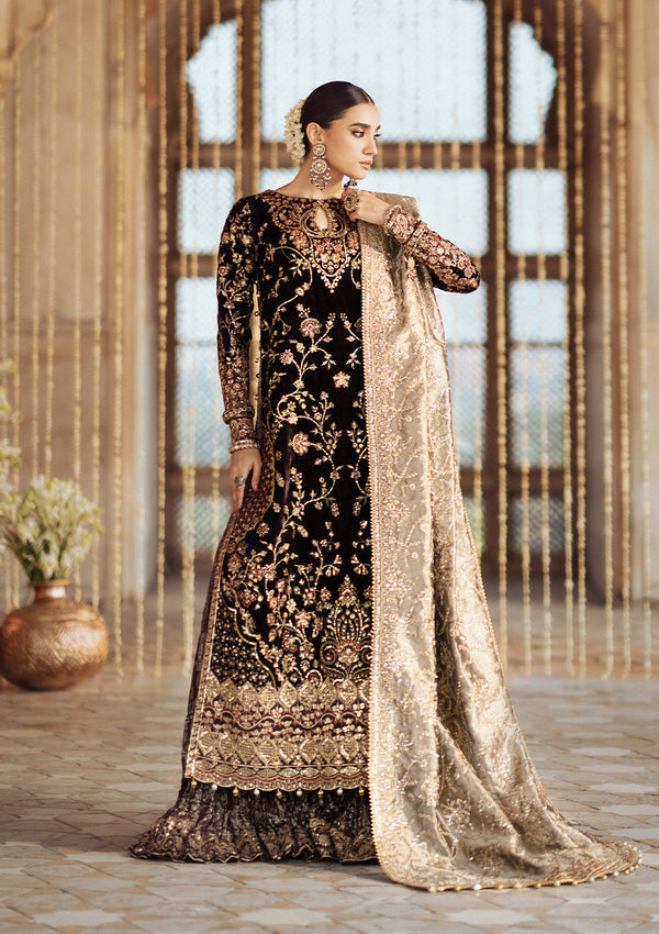 Aik Atelier | Dastoor Velvet 24 | DASTOOR - LOOK 09 XS Dark Brown Velvet