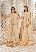 Aik Atelier | Wedding Festive 24 | 06 - Pakistani Designer Dress - by Aik Atelier | Type: Bridal - 100% Original at Saira Sultan