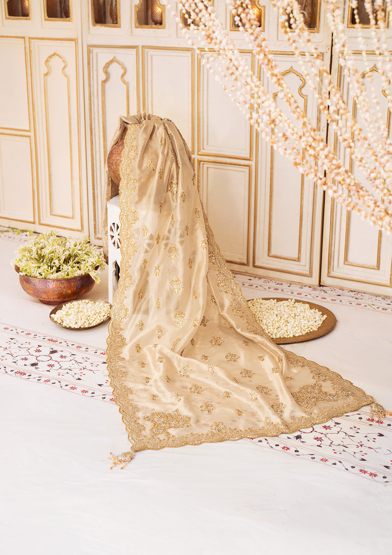Aik Atelier | LIGHT GOLD TISSUE SHAWL - Pakistani Designer Dress - by Aik Atelier | Type: Bridal - 100% Original at Saira Sultan