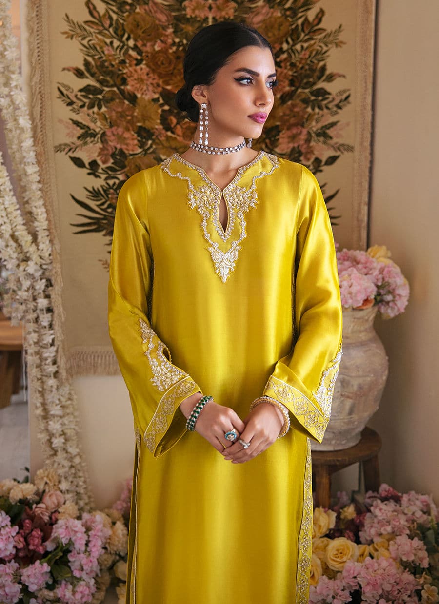Farah Talib Aziz | Mayna Festive Luxe | Veesta Lime - Pakistani Designer Dress - by Farah Talib Aziz | Type: Bridal - 100% Original at Saira Sultan