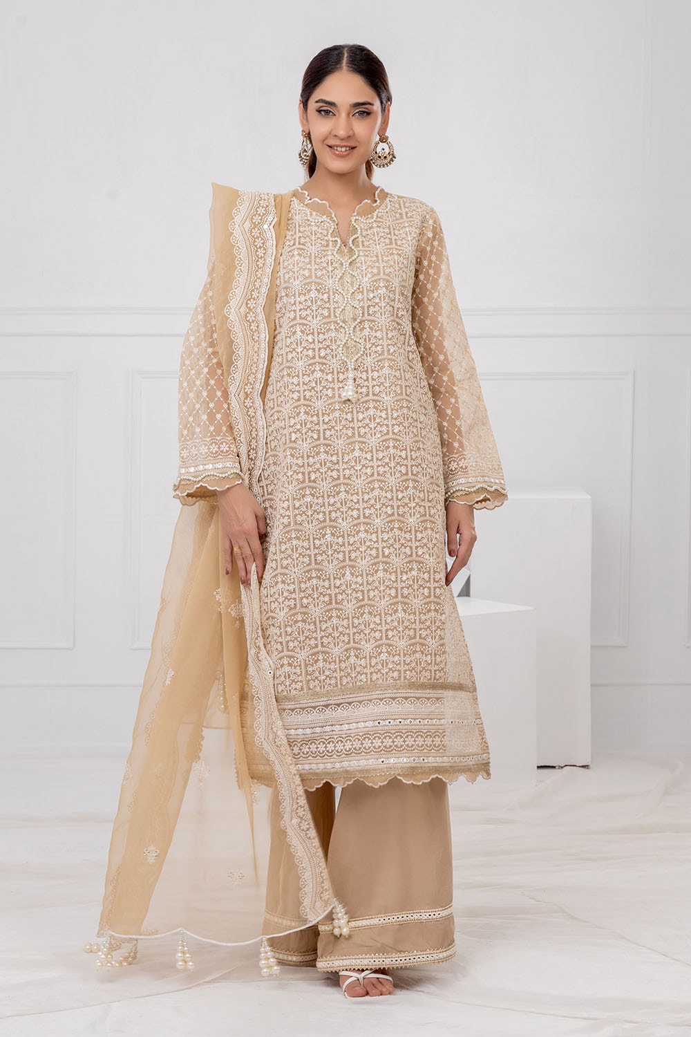 Gul Ahmed | Festive Eid 25 | FE-52087 XS Beige Organza