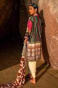 Sana Safinaz | Mahay Spring 24 | H241-027A-2I - Pakistani Designer Dress - by Sana Safinaz | Type: Luxury - 100% Original at Saira Sultan
