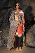 Sana Safinaz | Mahay Spring 24 | H241-028A-2BG - Pakistani Designer Dress - by Sana Safinaz | Type: Luxury - 100% Original at Saira Sultan
