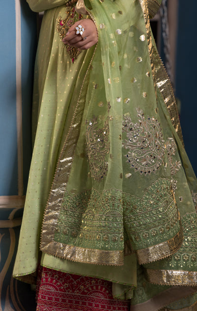 Maya | Mehr o Mah Formals | LUSTRE L Pistachio Green Cotton Net