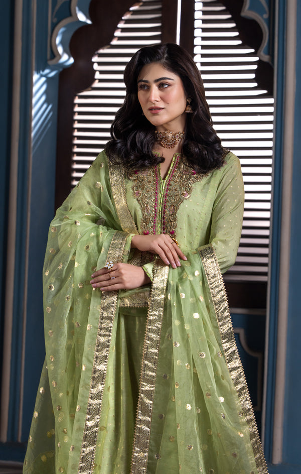 Maya | Mehr o Mah Formals | LUSTRE XL Pistachio Green Cotton Net
