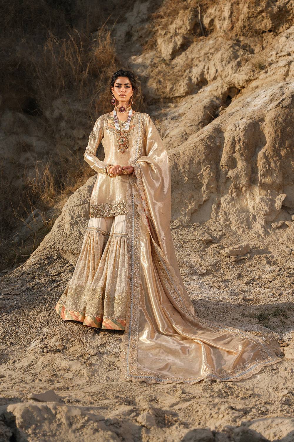 Nilofer Shahid | Verve Summer 24 | Zahria  Verve SS 24 - Pakistani Designer Dress - by Nilofer Shahid | Type: Formal - 100% Original at Saira Sultan