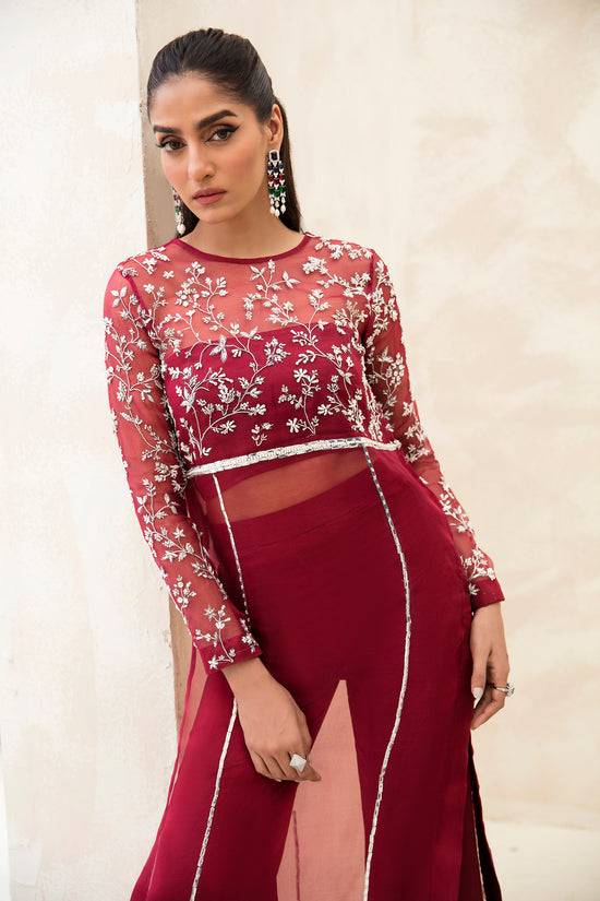 Raja Salahuddin | The Wishlist | CHERRY - Pakistani Designer Dress - by Raja Salahuddin | Type: Formal - 100% Original at Saira Sultan