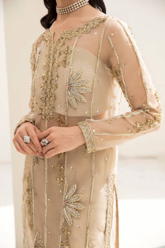 Raja Salahuddin | The Wishlist | FALLON - Pakistani Designer Dress - by Raja Salahuddin | Type: Formal - 100% Original at Saira Sultan