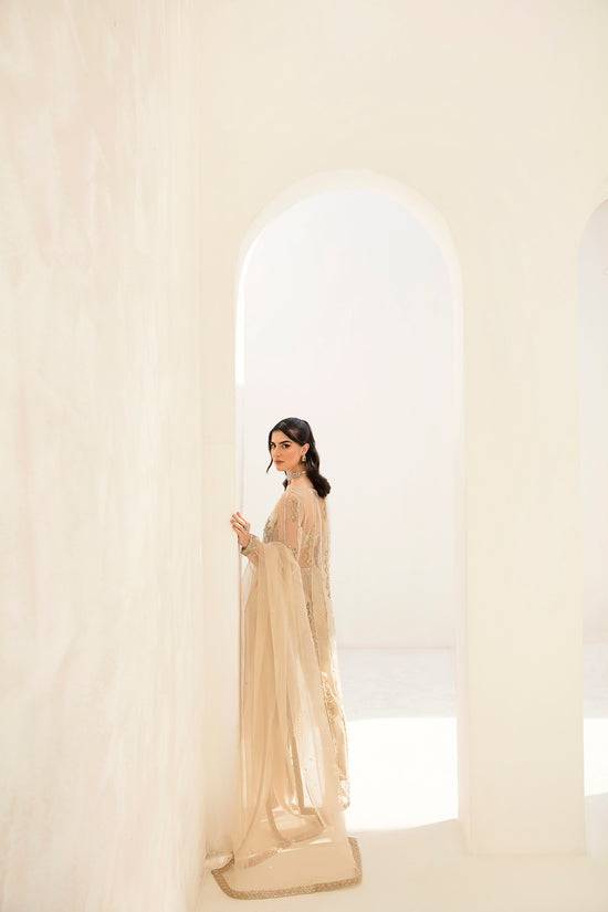 Raja Salahuddin | The Wishlist | FALLON - Pakistani Designer Dress - by Raja Salahuddin | Type: Formal - 100% Original at Saira Sultan