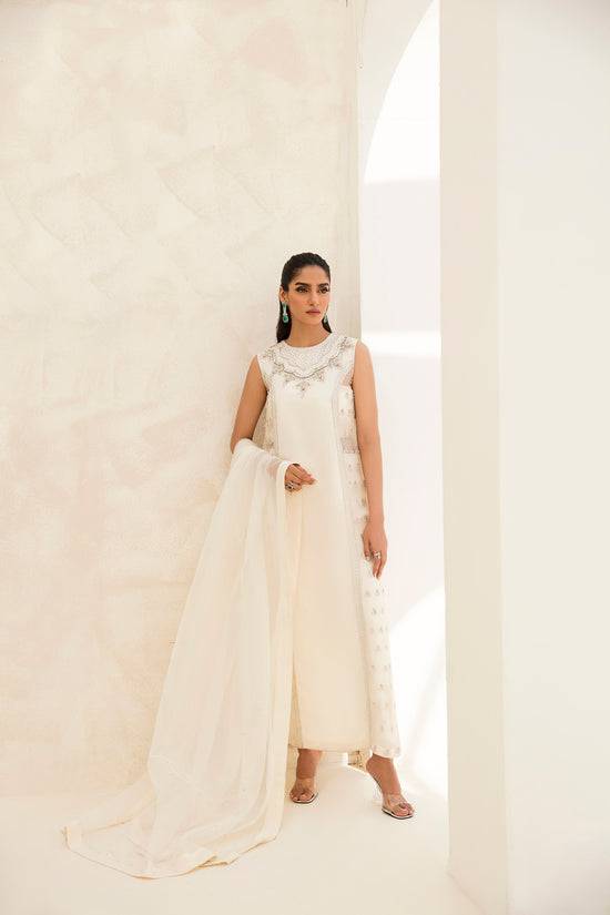 Raja Salahuddin | The Wishlist | MOONLIGHT - Pakistani Designer Dress - by Raja Salahuddin | Type: Formal - 100% Original at Saira Sultan