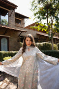Afrozeh | Damask The Holiday Edit 25 | Maelis A M Light Pistachio Lawn