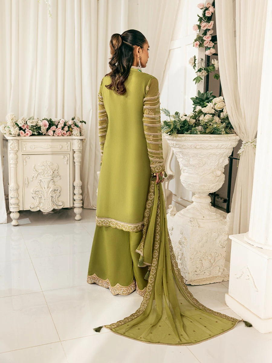 Salitex | Signature Festive Chiffon | SUNS7CH030UT XS Olive Green Chiffon